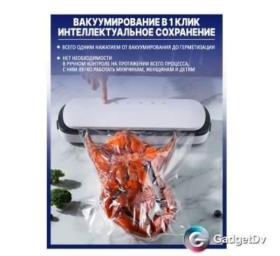 20848 Домашний вакуумный упаковщик (В)  MYG-01
