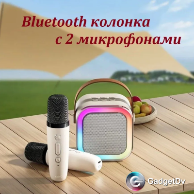 27060 Портативная Bluetooth колонкас двумя микрофонами К 12