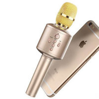 5548 Беспроводной микрофон EARISE Q8 (золото)
