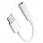 60840 Переходник Type-C in Audio