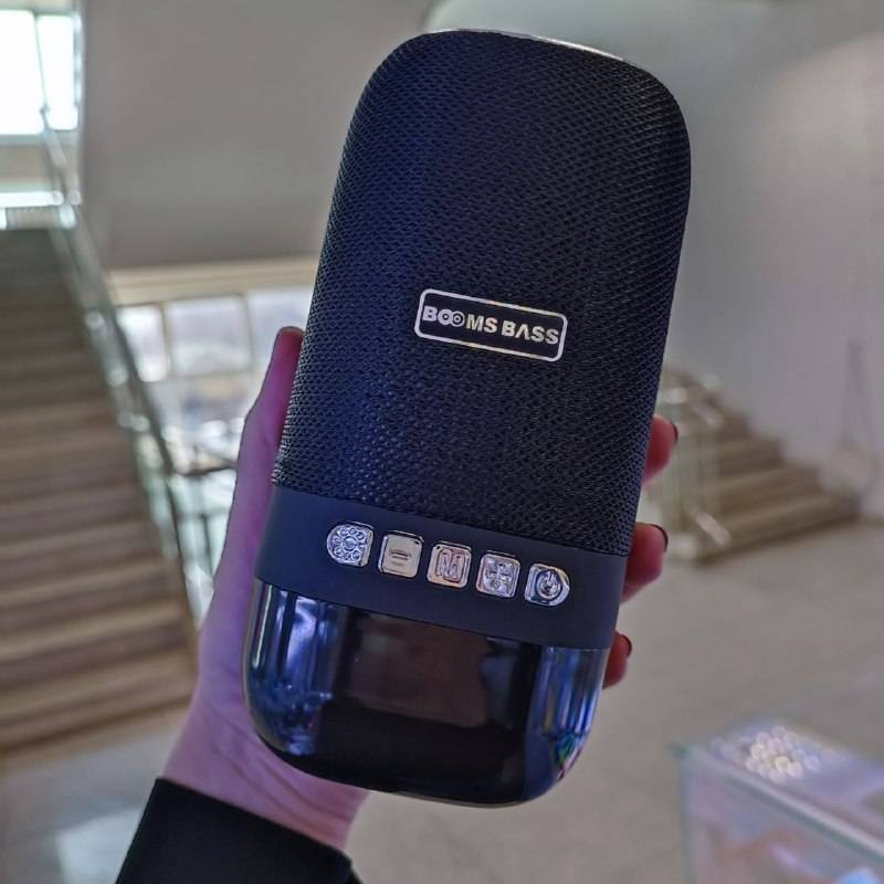 60251 Портативная Bluetooth колонка Booms Buss L-22