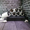 20568 Комплект видеонаблюдения на 8 камер N6L08L-WiFi Kit (8c)