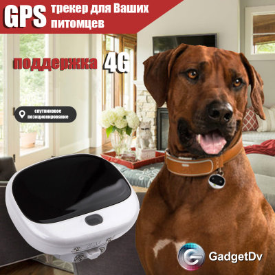 23132 GPS-трекер для животных 4G 23132 GPS-трекер для животных 4G