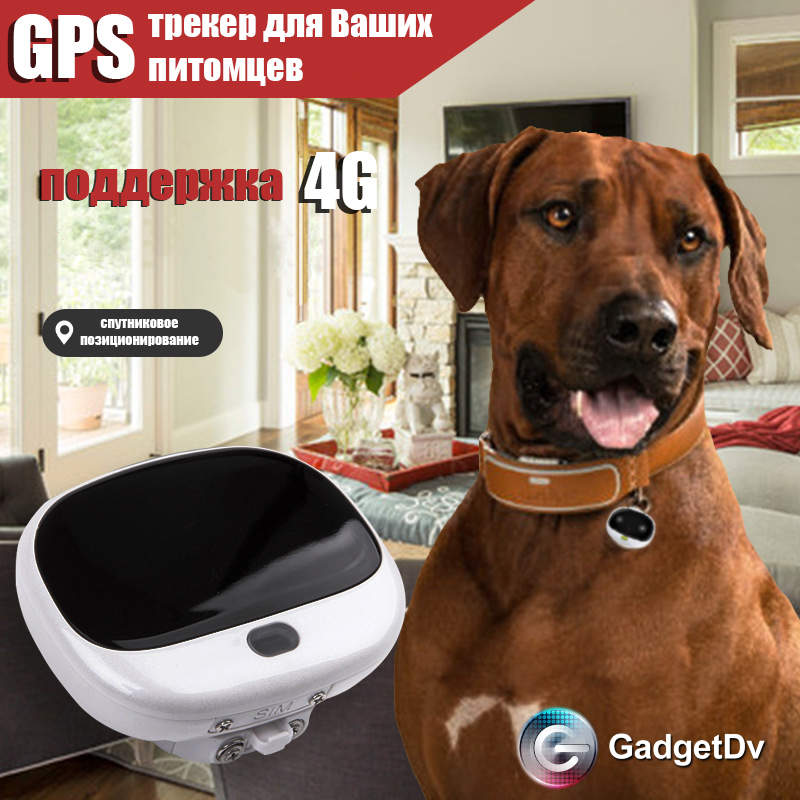23132 GPS-трекер для животных 4G