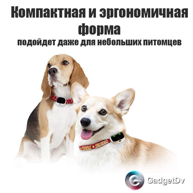 23132 GPS-трекер для животных 4G