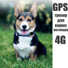 23132 GPS-трекер для животных 4G