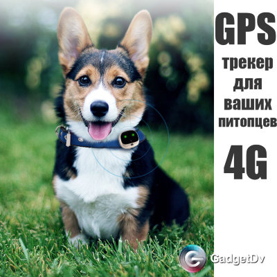 23132 GPS-трекер для животных 4G