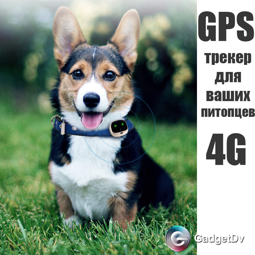 23132 GPS-трекер для животных 4G