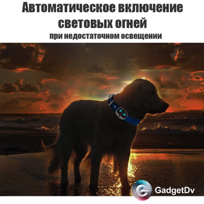 23132 GPS-трекер для животных 4G