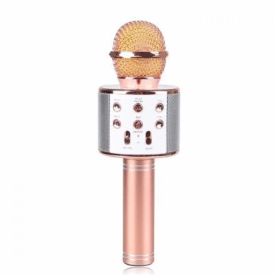 5712 Микрофон WS-858