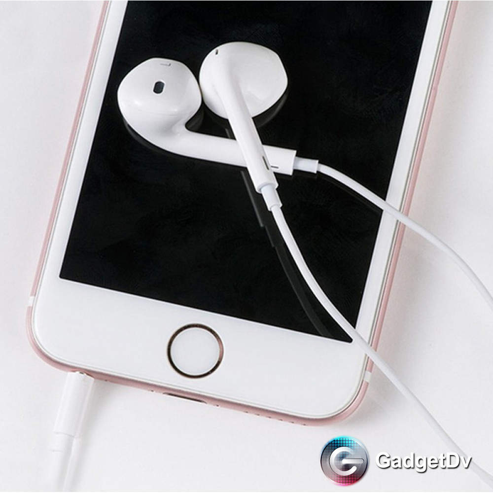 20985 Наушники for AUX, Hoco M1
