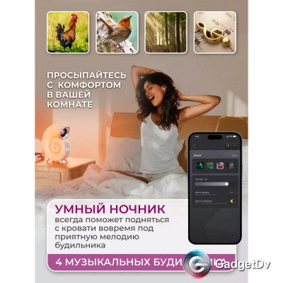 23527 Ночник, колонка, часы "Ракушка"