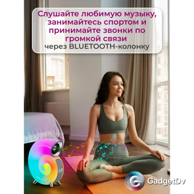 23527 Ночник, колонка, часы "Ракушка"