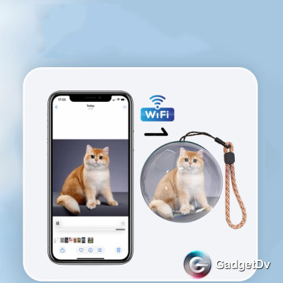 38545 Видеошар с воспоминаниями (цифровая фоторамка)