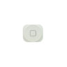 Кнопка Home (белый)  iPhone 5