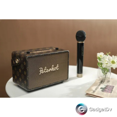 23313 Портативная Bluetooth колонка с микрофоном Peterhot A106W